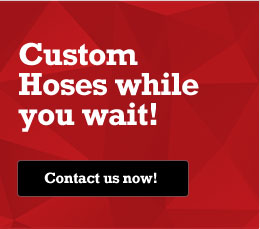 Custom Hoses while you wait